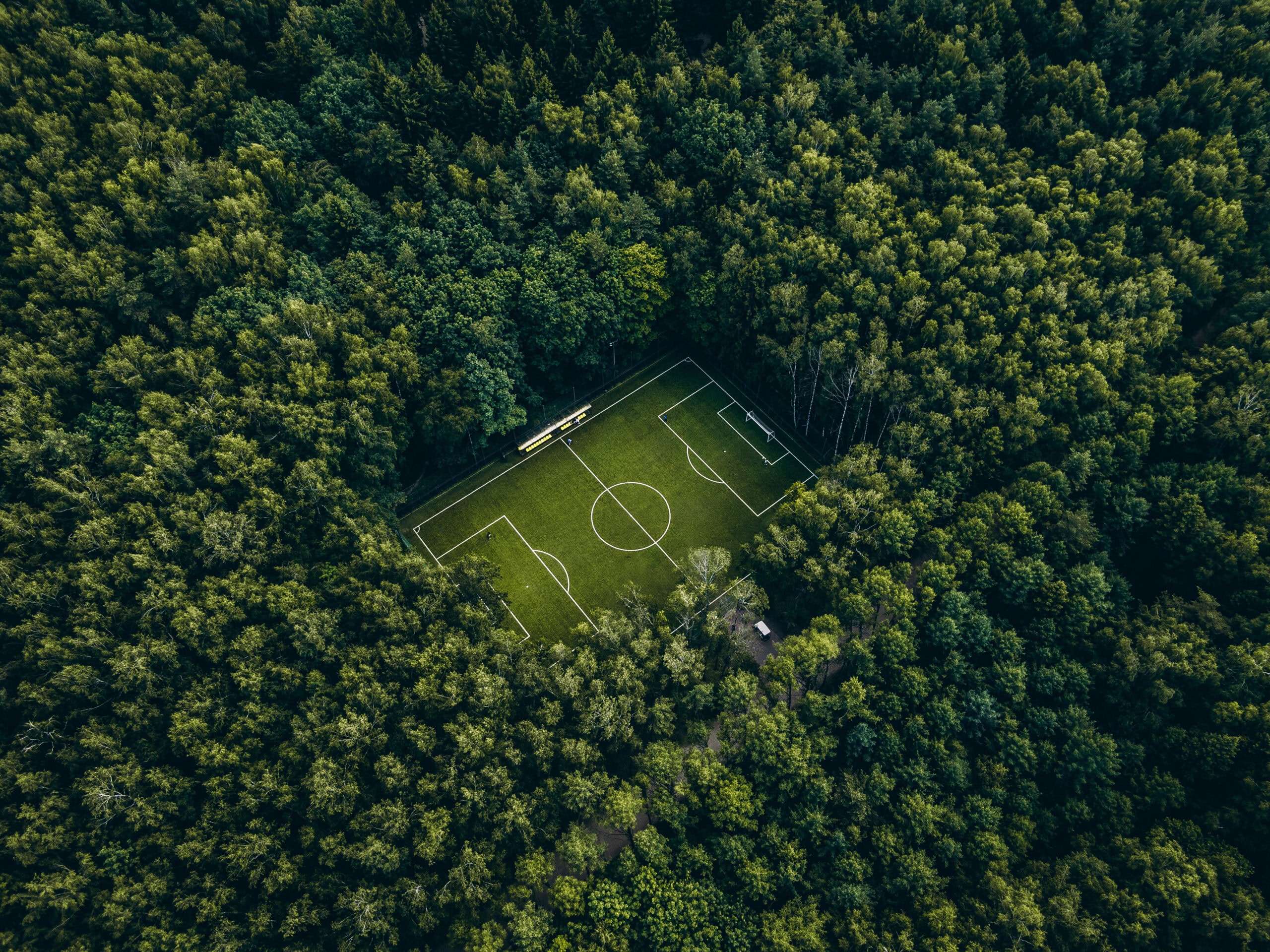 A soccer field in the middle of a forest, seen from above.