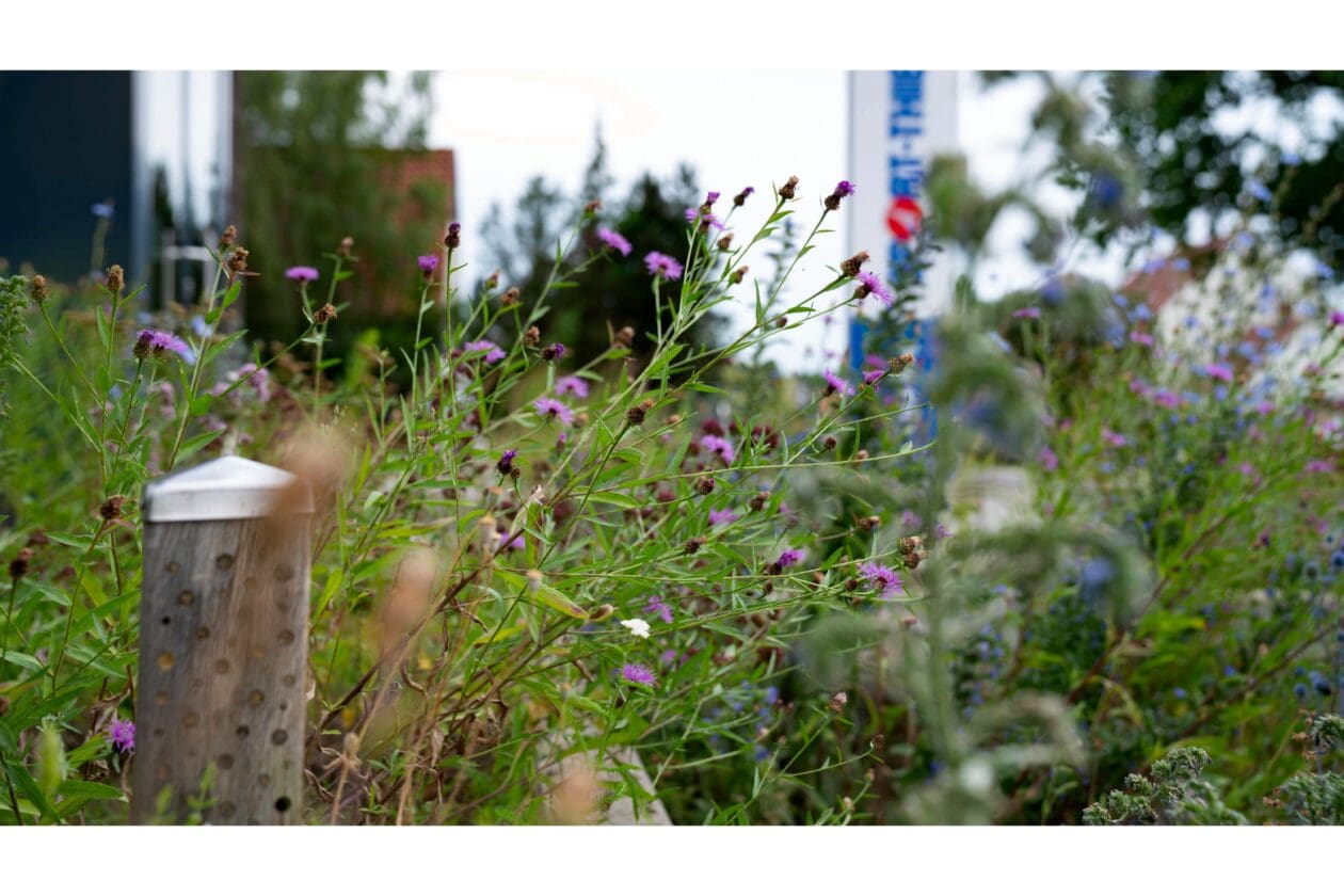 Insektenhotel am Eingang von Sport-Thieme